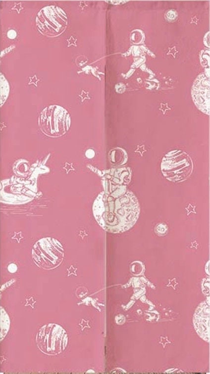 Pink Astronauts Modern Doorway Noren Curtain image 1