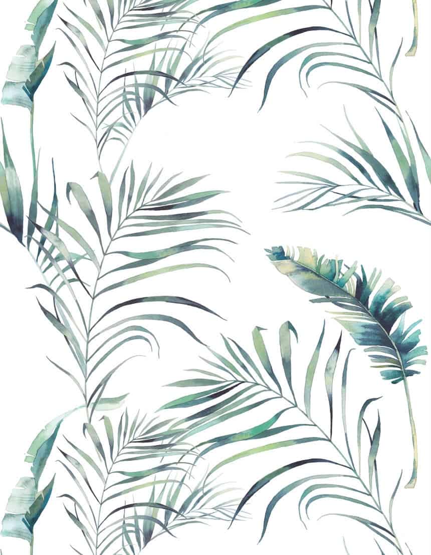 Watercolour Kentia Palm Doorway Noren Curtain image 1
